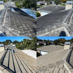roof soft wash land o' lakes | land o' lakes roof cleaning services